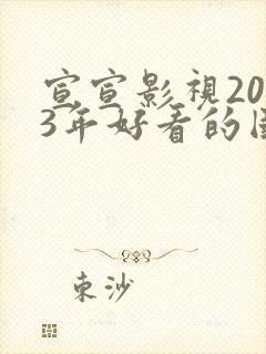 宣宣影视2023年好看的国产电视剧