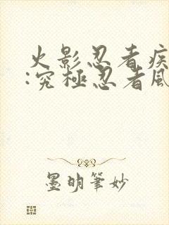 火影忍者疾风传:究极忍者风暴4