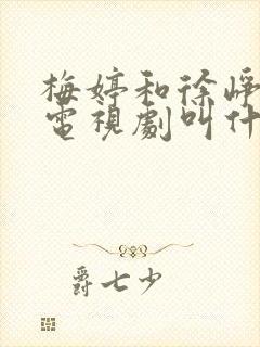 梅婷和徐峥演的电视剧叫什么名字