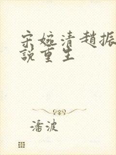 宋婉清赵振国小说重生