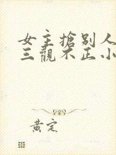 女主抢别人男友三观不正小说