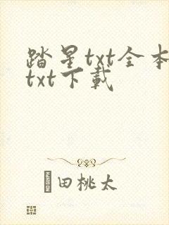 踏星txt全本txt下载