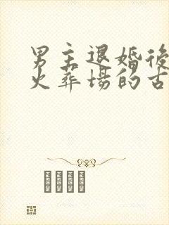 男主退婚后追妻火葬场的古言