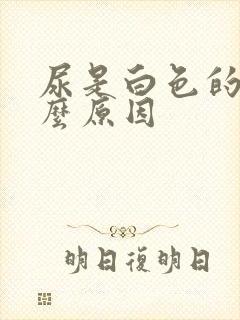 尿是白色的是什么原因