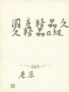 国产精品久久久久精品a级