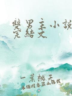 双男主小说推荐完结文