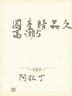 国产精品久久久高潮5