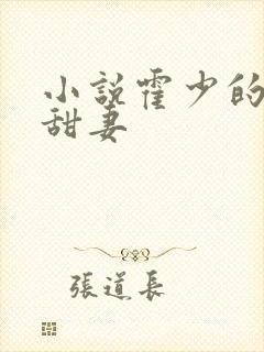 小说霍少的契约甜妻