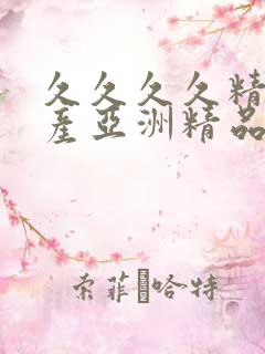 久久久久精品国产亚洲精品