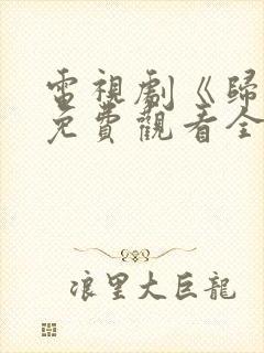 电视剧《归路》免费观看全集高清