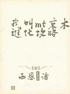 我叫mt哀木涕进化攻略