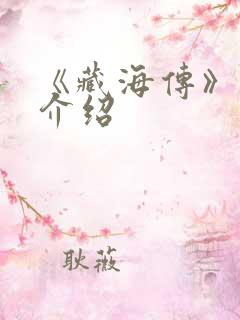 《藏海传》剧情介绍