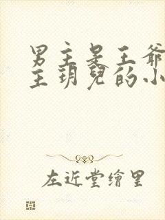 男主是王爷叫女主玥儿的小说