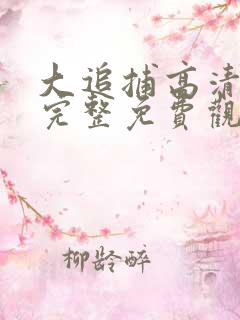 大追捕高清在线完整免费观看