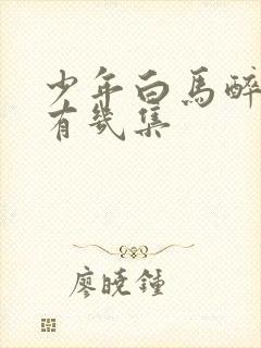 少年白马醉春风有几集