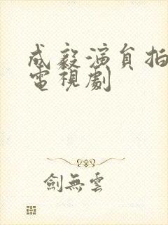 成毅演员拍过的电视剧