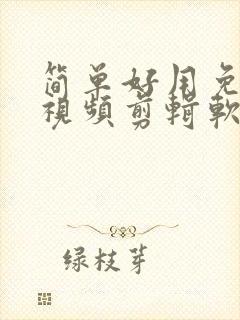 简单好用免费的视频剪辑软件