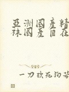 亚洲国产精品丝袜国产自在线