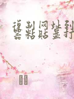 复制网址到浏览器粘贴并打开