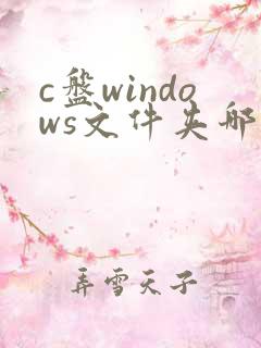 c盘windows文件夹哪些可以删除