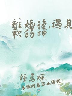 离婚后,遇见心软的神