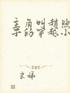 主角叫赵煦九皇子的穿越小说