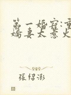 第一婚宠:重生娇妻太惹火 清歌一片