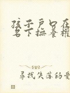 孩子户口在母亲名下抚养权归谁