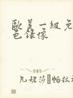 欧美一级免费黄色录像