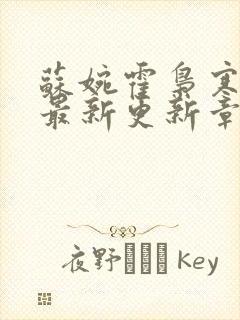 苏婉霍枭寒小说最新更新章节目录