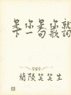 是你是你就是你下一句歌词