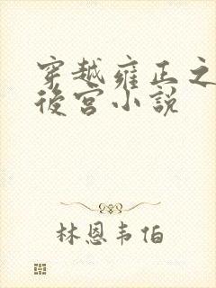 穿越雍正之极品后宫小说