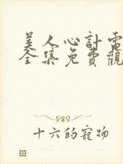 美人心计电视剧全集免费观看