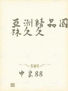 亚洲精品国产丝袜久久