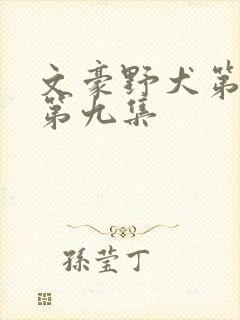 文豪野犬第二季第九集