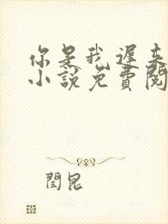 你是我迟来的光小说免费阅读