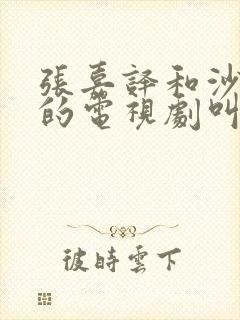 张嘉译和沙溢演的电视剧叫什么名字