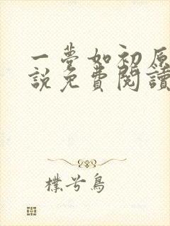 一梦如初原著小说免费阅读