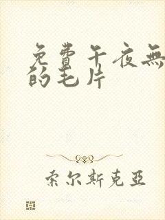 免费午夜无遮挡的毛片