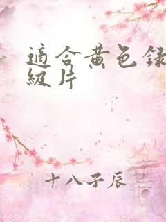 适合黄色录像一级片