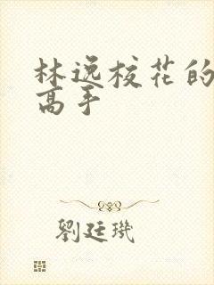 林逸校花的贴身高手