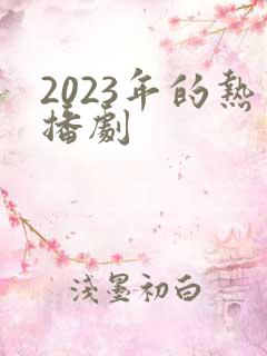 2023年的热播剧