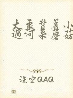 大象背着小兔子过河采蘑菇的看图写话