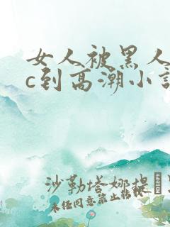 女人被黑人狂躁c到高潮小说