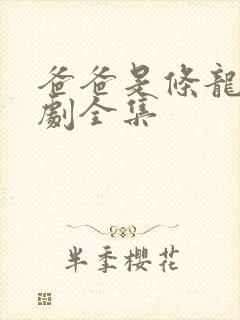 爸爸是条龙电视剧全集