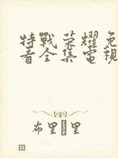 特战荣耀免费观看全集电视剧45集