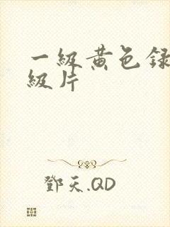 一级黄色录像一级片