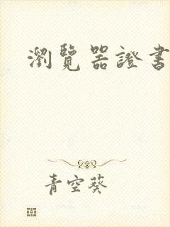 浏览器证书错误