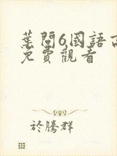 叶问6国语高清免费观看