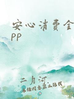 安心消费金融app